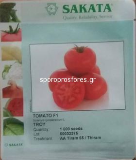 Tomatoes Troy F1 (Lycopersicom esculentum Mill)