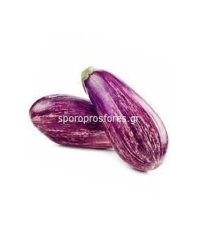 Eggplant RANIA F1