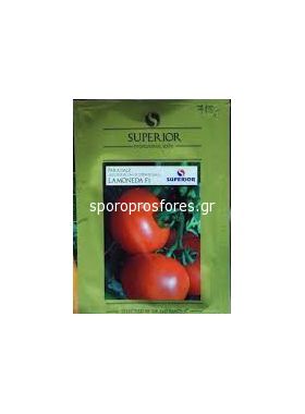 Tomatoes La Moneda F1