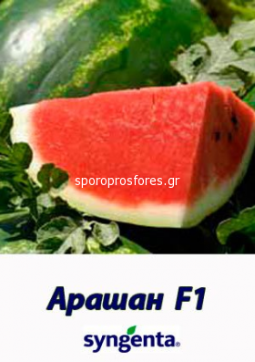 Watermelon Arashan