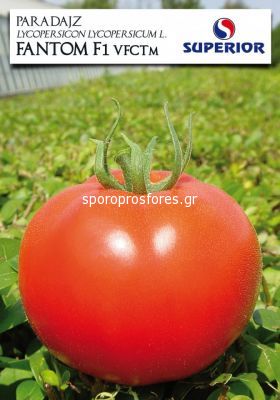 Tomatoes Fantom F1