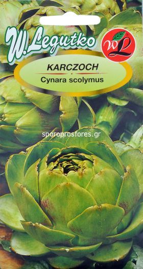 Artichokes Karczoch