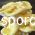 Μανιτάρια Golden Oyster / Pleurotus citrinopileatus