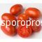 Tomatoes AG 23484