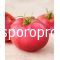 Tomatoes Dimerosa the F1 (Lycopersicum esculentum Mill)