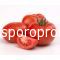 Tomatoes rally F1 (Lycopersicum esculentum Mill)