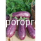 Eggplant Nerea F1