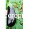 Eggplant Gortina F1